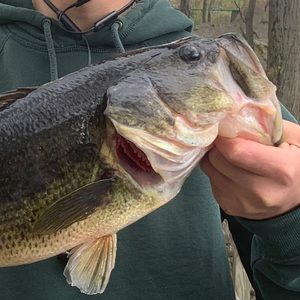 Meet your Posher, Craig